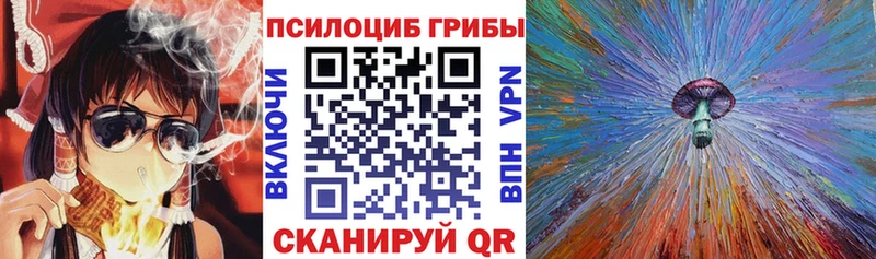 OMG вход  Элиста  Псилоцибиновые грибы мицелий 