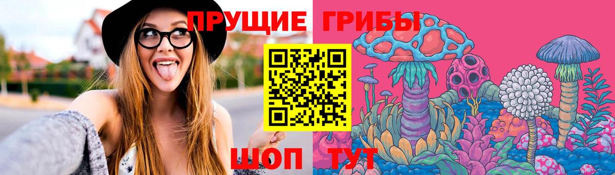 что такое наркотик  Вход с VPN  Элиста  Псилоцибиновые грибы мухоморы  Псилоцибиновые грибы Psilocybe 